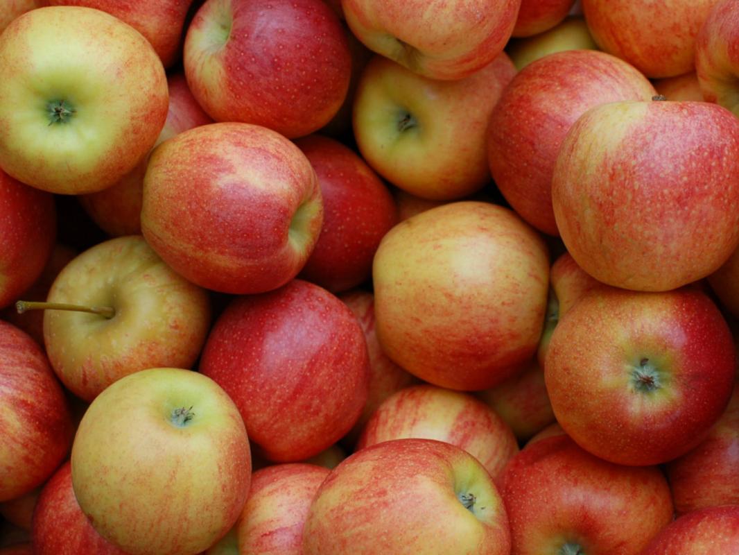 Pommes Jonagold au kilo