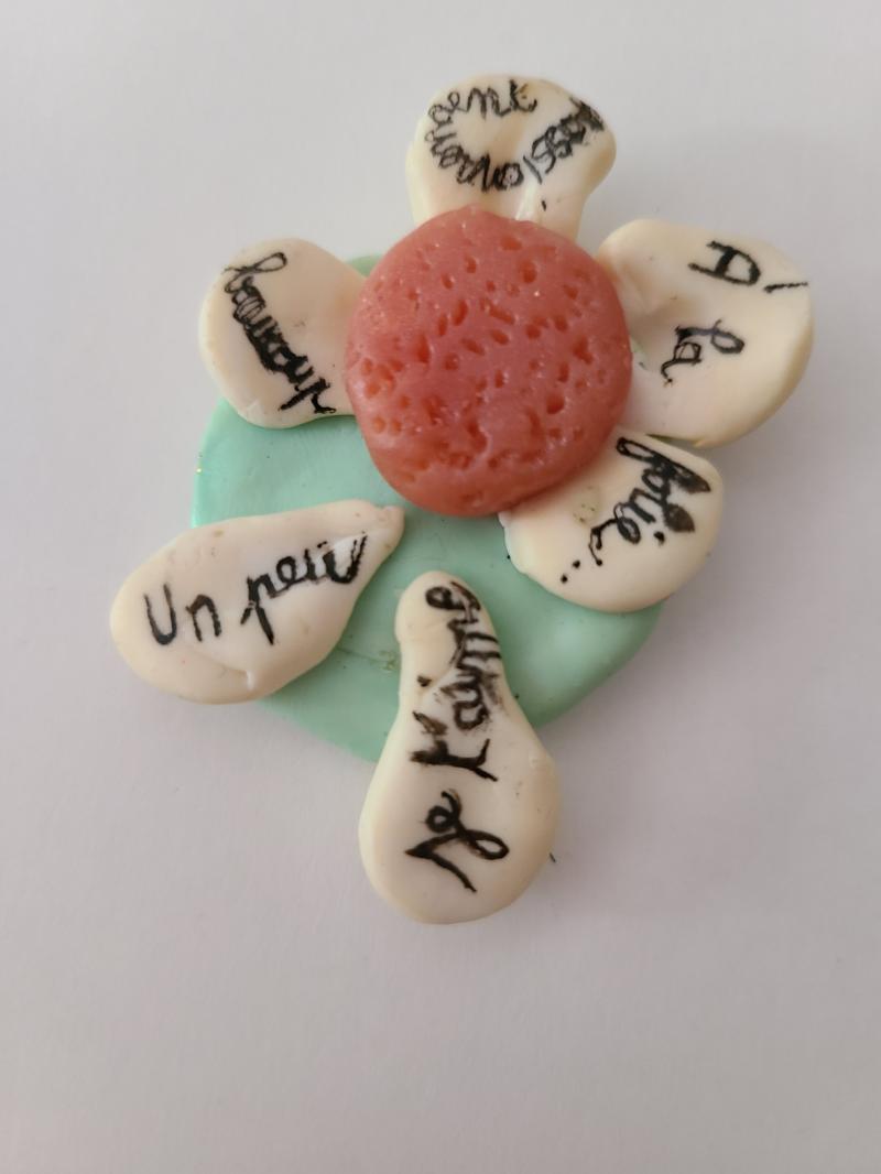 Magnets pate polymere 