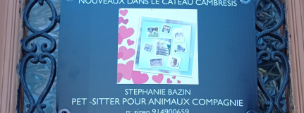Pet-sitter pour animaux compagnie 