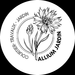 Allium Jardin