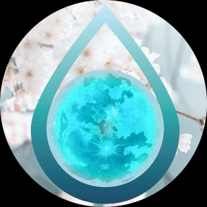 Bluemoon Créations